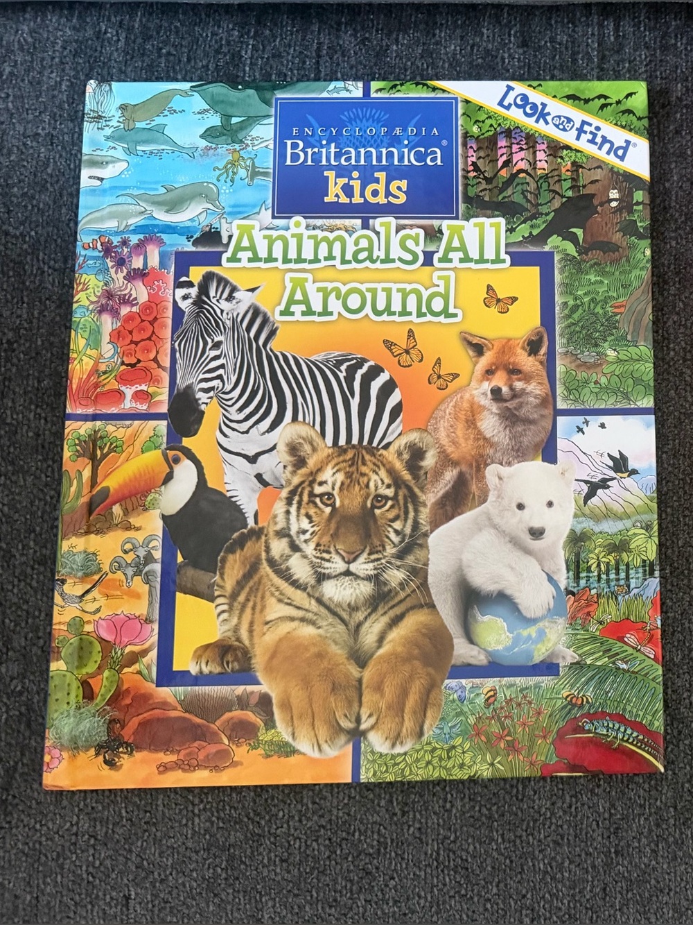 Kids "Animals All Around" Picture Book